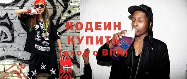 крисы Коряжма