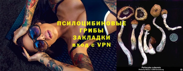 экстази Пересвет