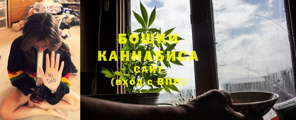 стафф Корсаков