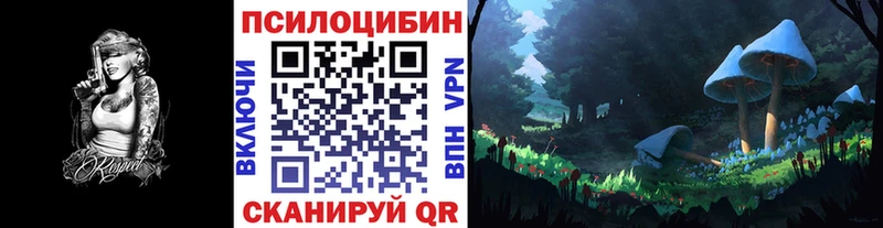 Псилоцибиновые грибы GOLDEN TEACHER  как найти закладки  Лодейное Поле 